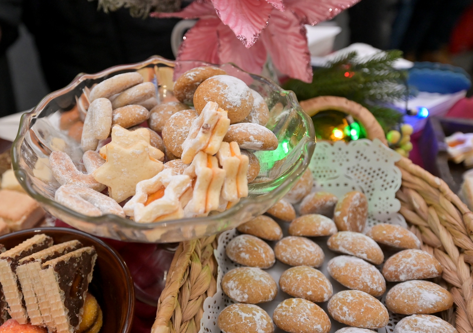 TZ Varaždinske županije