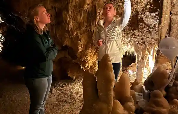 TZ Zagrebačke županije