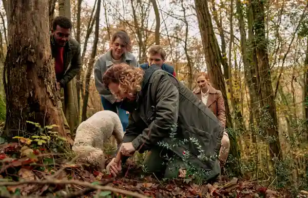 TZ Istarske županije