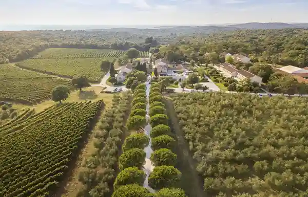 Meneghetti Wine Hotel & Winery